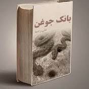 کتاب تفسیر بیش از 700 نوع جوغن و گنج یابی