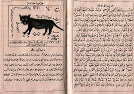 کتاب مخطوط القط الاسود